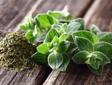 Πόσο σημαντική είναι η ρίγανη για την υγεία μας;